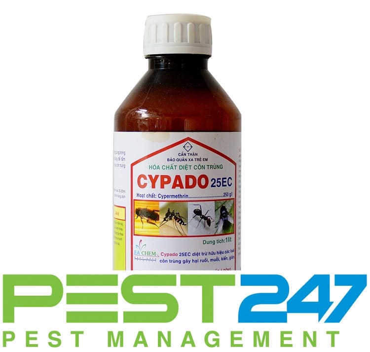 CYPADO 25EC thuốc phun xịt mọt, diệt mọt, diệt côn trùng an toàn, hiệu quả cao