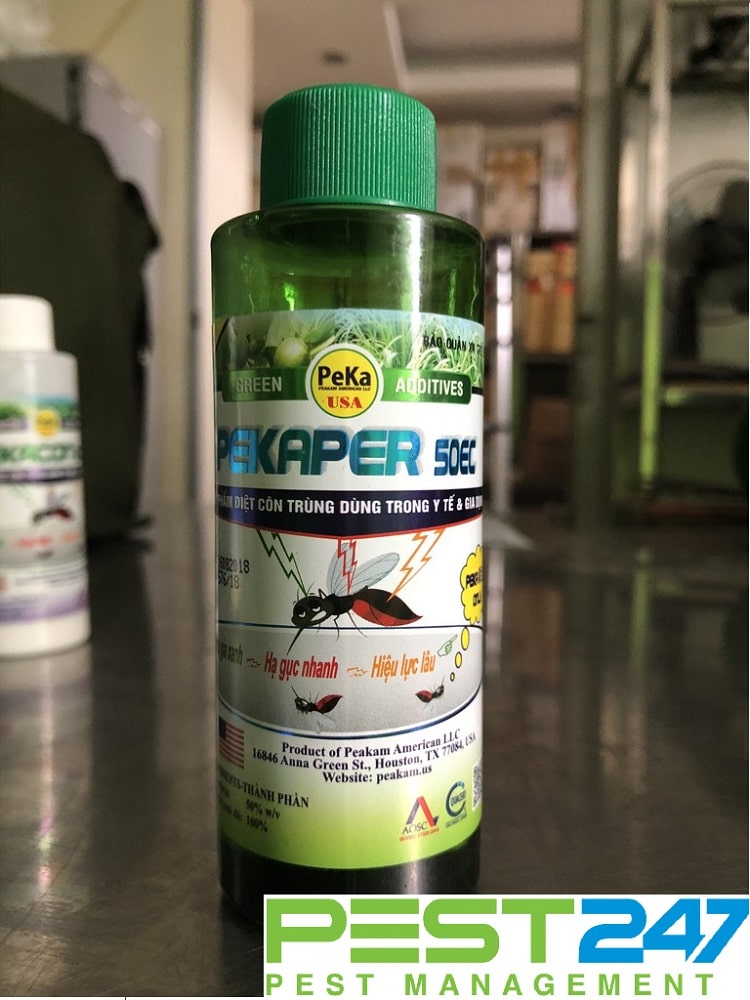PEKAPER 50EC Thuốc diệt côn trùng hàng đầu - thuốc diệt côn trùng an toàn
