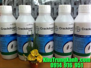 thuoc-diet-con-trung-crackdow 10sc-tot-nhat
