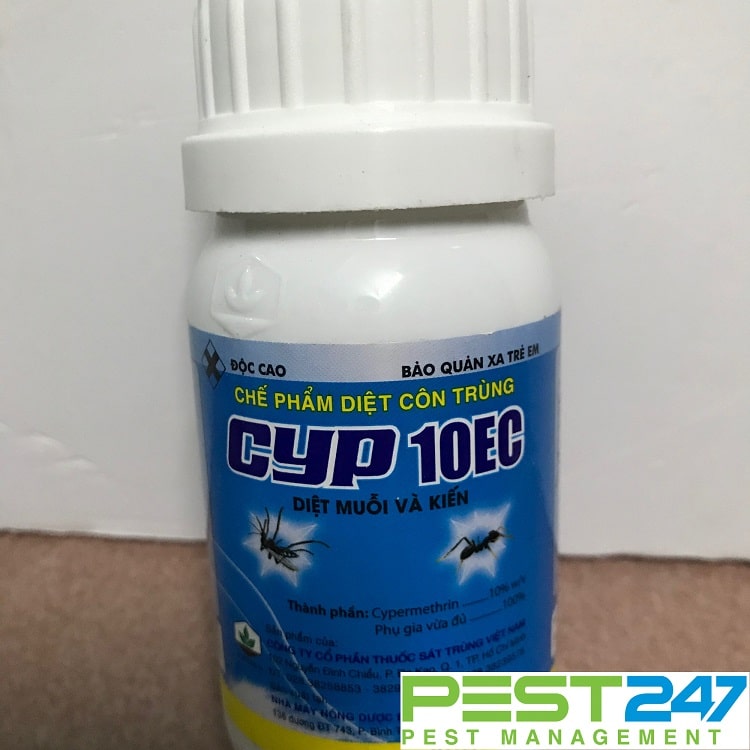 CYP 10EC thuốc diệt ruồi, muỗi, kiến, gián hiệu quả giá rẻ - thuốc phun xịt kho