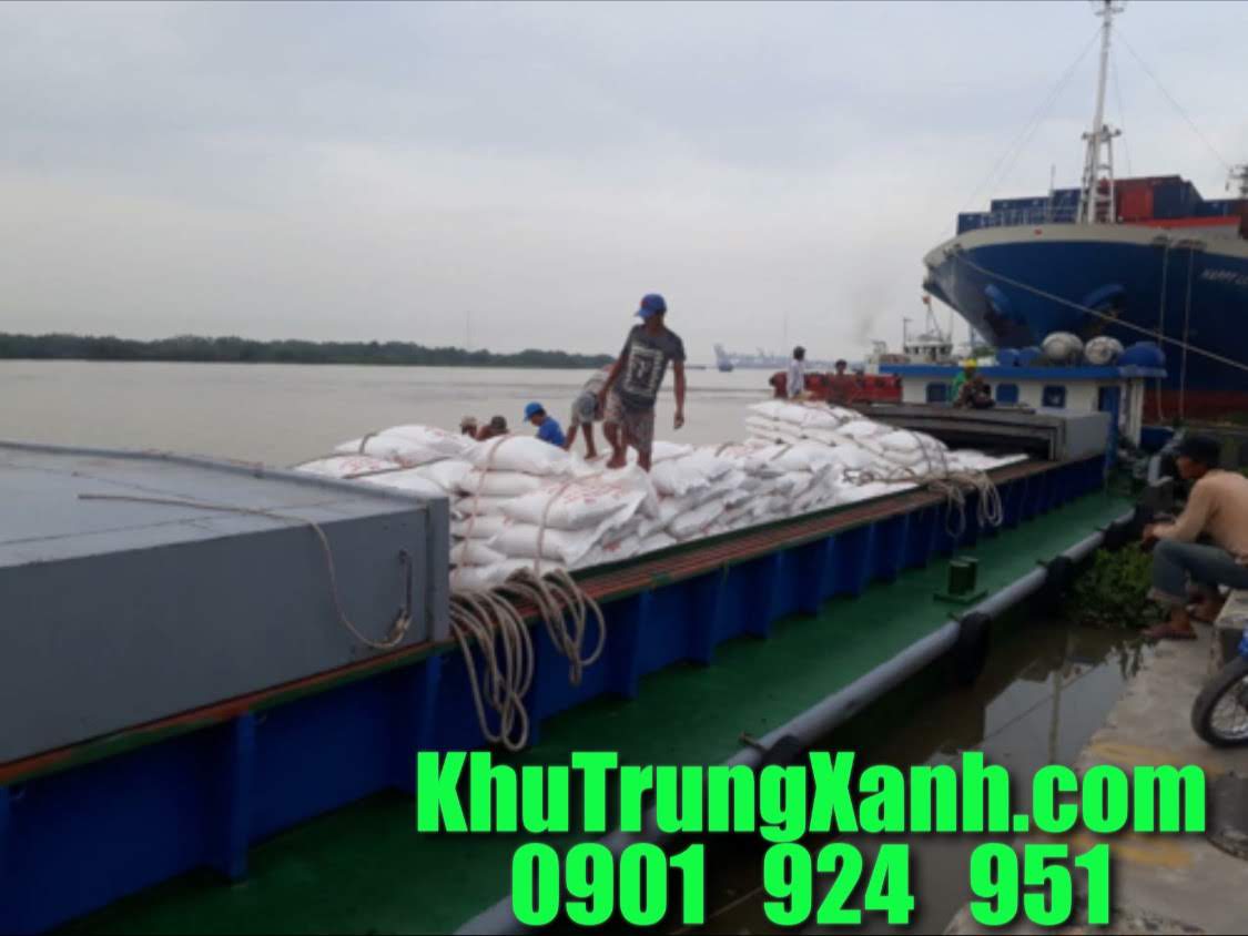 Khử trùng Tàu biển ( tàu hàng , sà lan ) , container xuất nhập khẩu tại HẢI PHÒNG