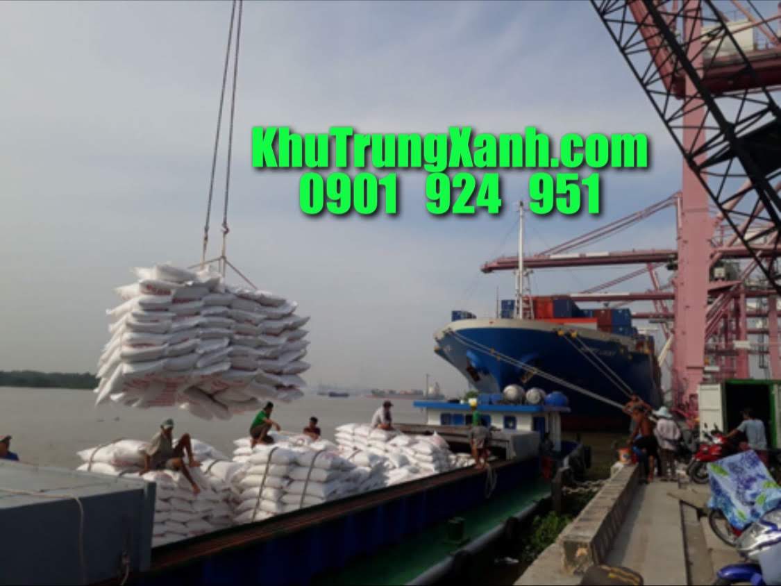 Khử trùng Tàu biển ( tàu hàng , sà lan ) , container xuất nhập khẩu tại LONG AN