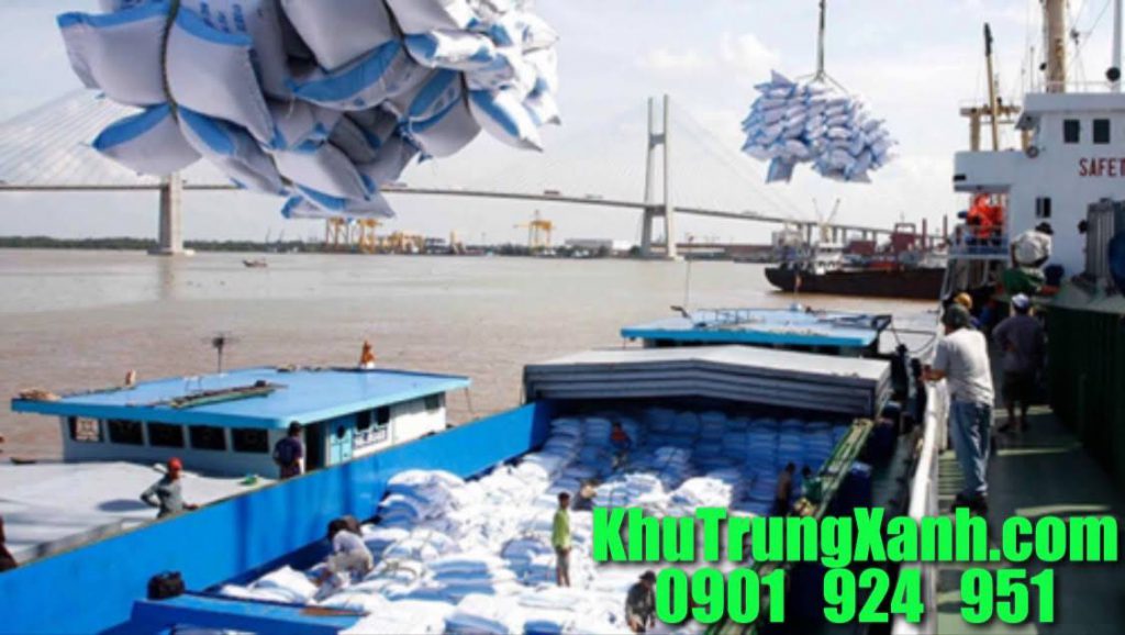 Khử trùng Tàu biển (tàu hàng, sà lan), container xuất nhập khẩu tại Đồng Tháp