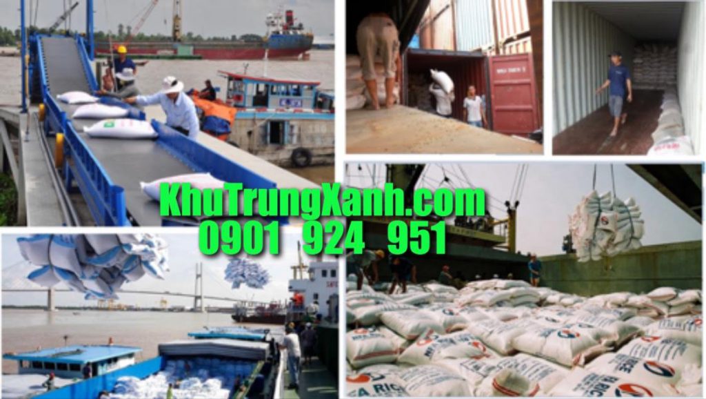 Khử trùng Tàu biển (tàu hàng, sà lan), container xuất nhập khẩu tại Đồng Tháp