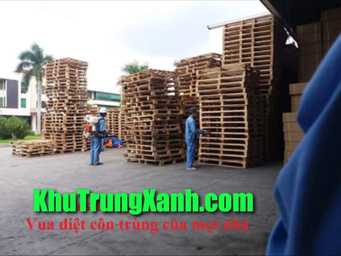 Khử trùng , hun trùng Pallet gỗ ,thùng gỗ , kiện gỗ ,  vật liệu chèn bằng gỗ tại VĨNH LONG