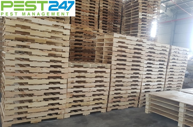 Công ty khử trùng, hun trùng Pallet gỗ tại Bình Thuận, Lâm Đồng