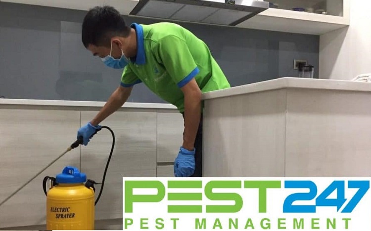 Công ty kiểm soát côn trùng uy tín - GFC Pest Control