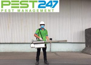 PEST CONTROL và những điều cần biết?