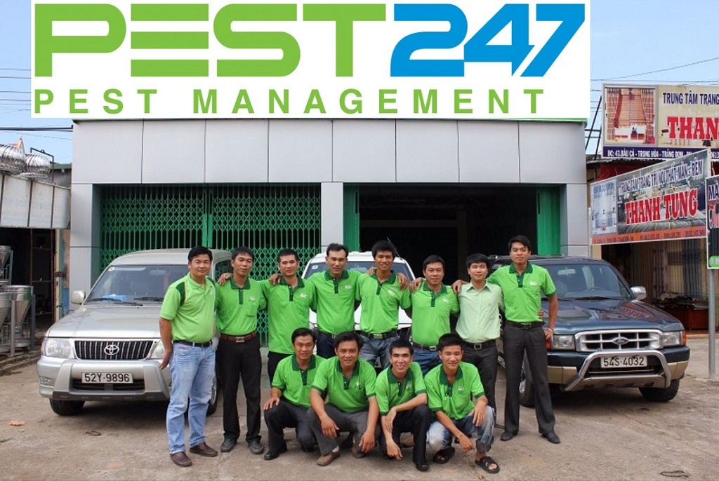 Công ty xử lý côn trùng, dịch hại chuyên nghiệp, hiệu quả tại Bình Phước