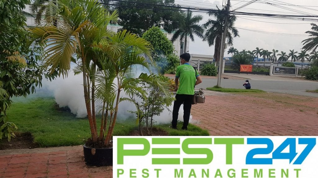 Công ty phun côn trùng Quảng Nam