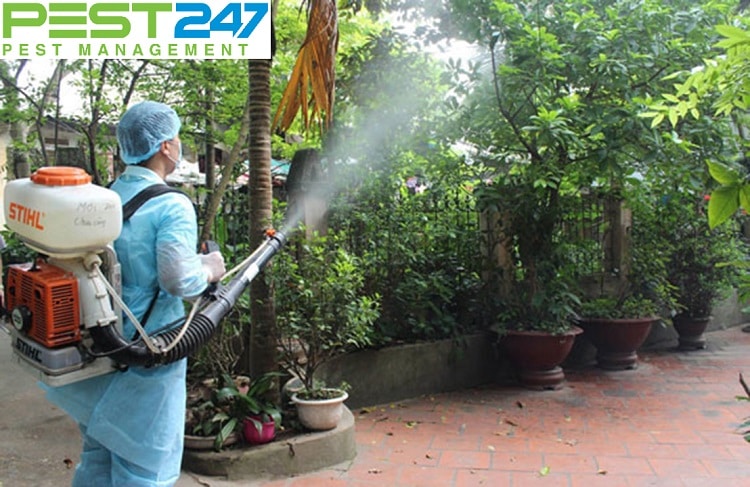 Công ty xử lý côn trùng, dịch hại chuyên nghiệp, hiệu quả tại Bắc Ninh