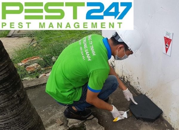 Kế hoạch kiểm soát côn trùng