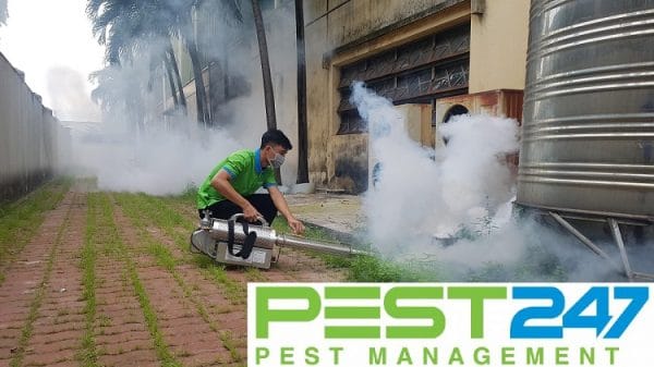 Dịch Vụ Diệt Gián