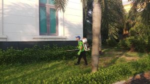 Công ty phun thuốc diệt muỗi chuyên nghiệp tại Hà Nội