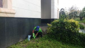 Công ty dịch vụ diệt côn trùng tại Quảng Nam