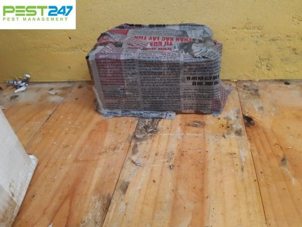 Bán hộp nhử mối giá tốt và uy tín nhất tại TPHCM