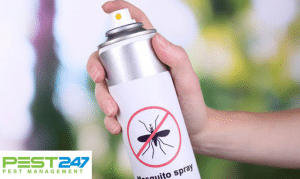 Top 10 thuốc diệt đuổi muỗi hiệu quả nhất hiện nay