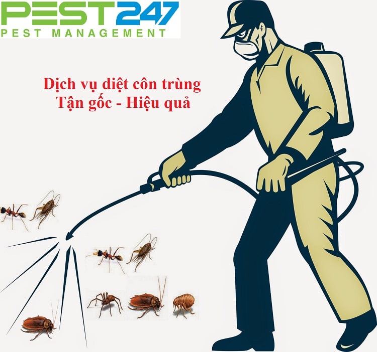 dịch vụ diệt côn trùng khutrungxanh