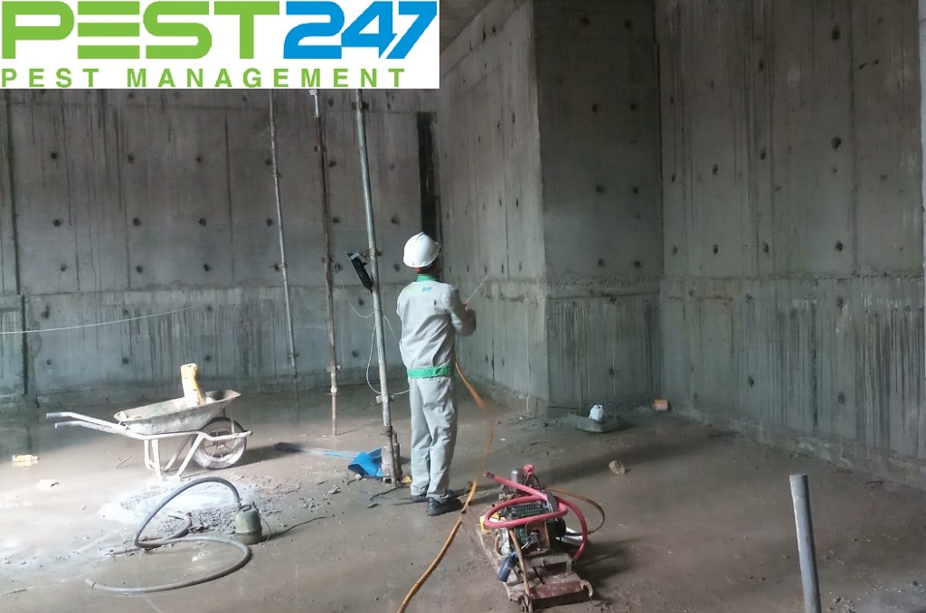 Phòng chống mối công trình tại Hóc Môn