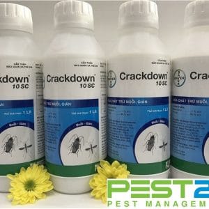 Thuốc diệt côn trùng Crackdow - 10SC