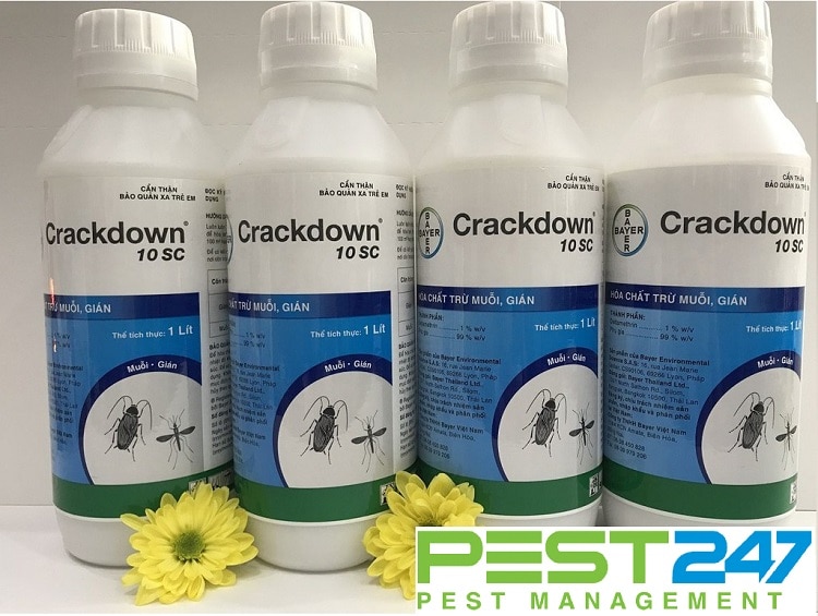 CRACKDOW 10SC thuốc diệt muỗi gián - thuốc diệt mọt, côn trùng hiệu quả