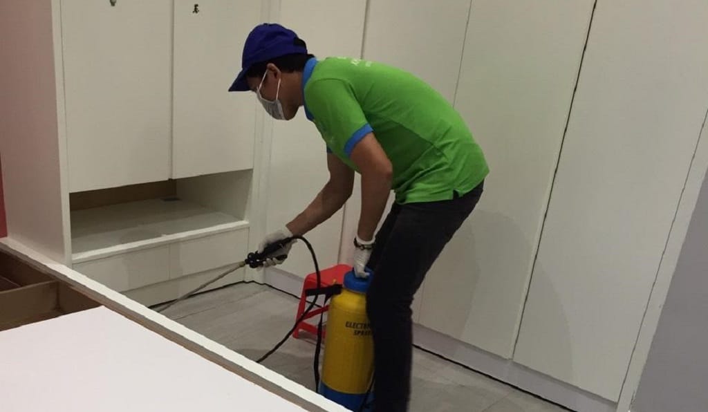 Diệt mối Quận 6