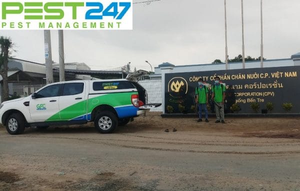 Định mức phòng chống mối cho công trình xây dựng