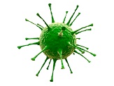 Khử trùng Virus Vi khuẩn