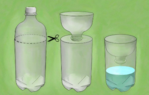 Bắt gián bằng chai nhựa và nước đường