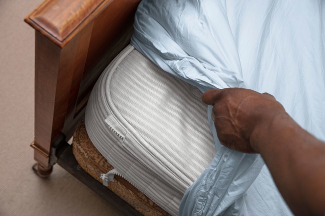 5 Cách diệt bọ chét trong phòng ngủ an toàn và hiệu quả nhất