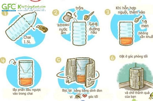 Hình ảnh minh họa về cách làm bẫy côn trùng bằng chai nhựa