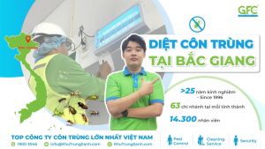 Dịch vụ diệt côn trùng tại Bắc Giang uy tín, chuyên nghiệp