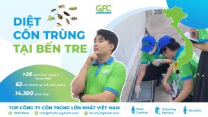 Công ty dịch vụ diệt côn trùng tại Bến Tre