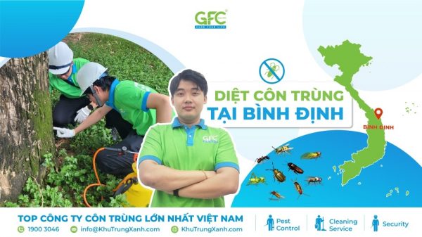CÔNG TY DIỆT CÔN TRÙNG TẠI BÌNH ĐỊNH