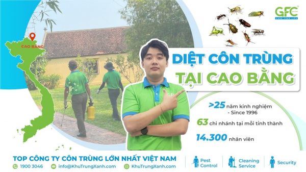 Dịch vụ diệt côn trùng tại Cao Bằng uy tín, chuyên nghiệp