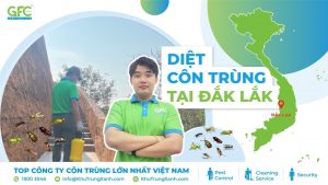 Dịch vụ diệt côn trùng tại Đắk Lắk uy tín, chuyên nghiệp