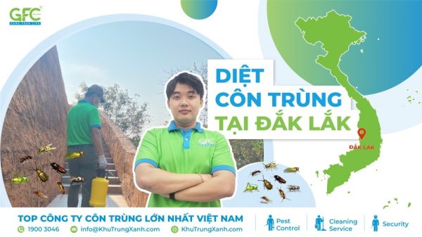 Dịch vụ diệt côn trùng tại Đắk Lắk uy tín, chuyên nghiệp