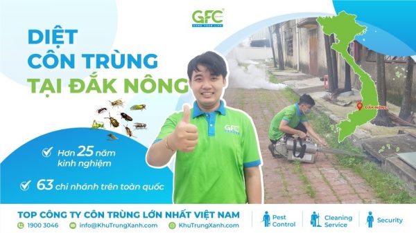 Dịch vụ diệt côn trùng tại Đắk Nông uy tín, chuyên nghiệp