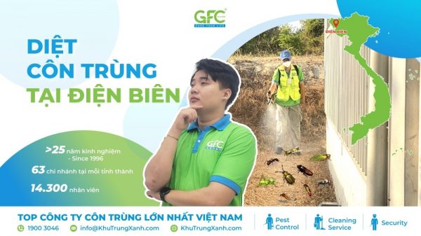 Dịch vụ diệt côn trùng tại Điện Biên uy tín, chuyên nghiệp