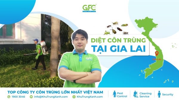 Dịch vụ diệt côn trùng tại Gia Lai uy tín, chuyên nghiệp