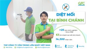 6 địa chỉ diệt mối tận gốc Bình Chánh giá rẻ