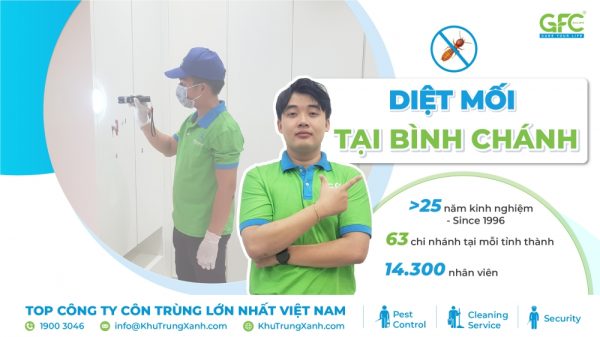 6 địa chỉ diệt mối tận gốc Bình Chánh giá rẻ