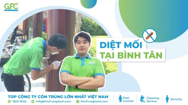 5 địa chỉ diệt mối Bình Tân uy tín hiệu quả tận gốc