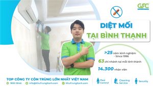 Bảng giá dịch vụ diệt mối tại Bình Thạnh mới nhất 2026