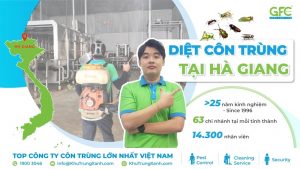 Dịch vụ diệt côn trùng tại Hà Giang uy tín, chuyên nghiệp