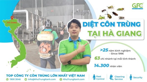 Dịch vụ diệt côn trùng tại Hà Giang uy tín, chuyên nghiệp