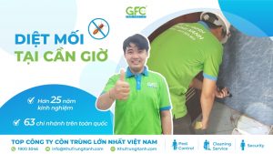 4 địa chỉ diệt mối tận gốc Cần Giờ chuyên nghiệp nhất 2025