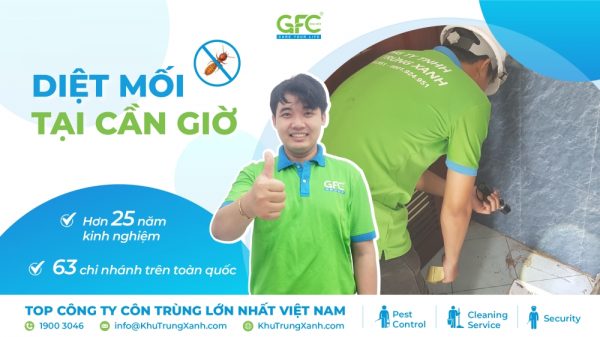 4 địa chỉ diệt mối tận gốc Cần Giờ chuyên nghiệp nhất 2025