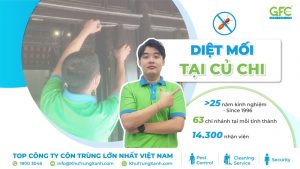 Bảng giá dịch vụ diệt mối tại Củ Chi mới nhất 2025