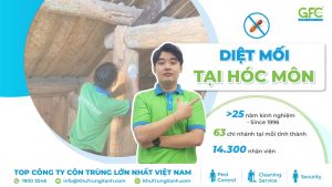 5 địa chỉ diệt mối tận gốc tại Hóc Môn uy tín nhất